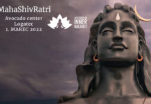 Mahashivratri 2022 Inner Balance